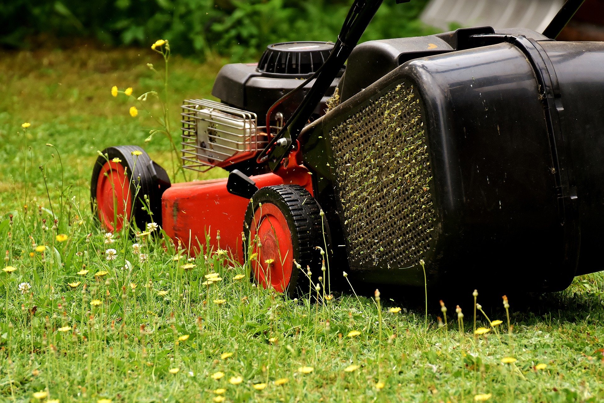 Gartenarbeit wir rasenmähen Wir helfen Ihnen gern